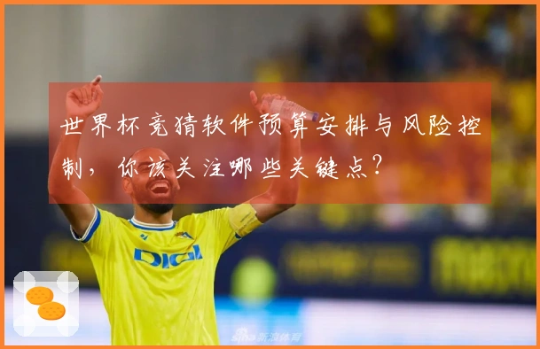 世界杯竞猜软件预算安排与风险控制，你该关注哪些关键点？