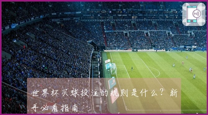 世界杯买球投注的规则是什么？新手必看指南