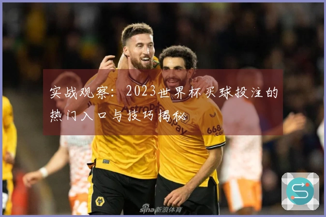 实战观察：2023世界杯买球投注的热门入口与技巧揭秘