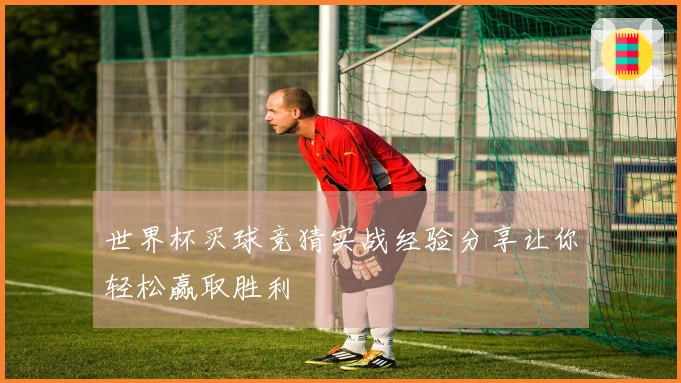 世界杯买球竞猜实战经验分享让你轻松赢取胜利