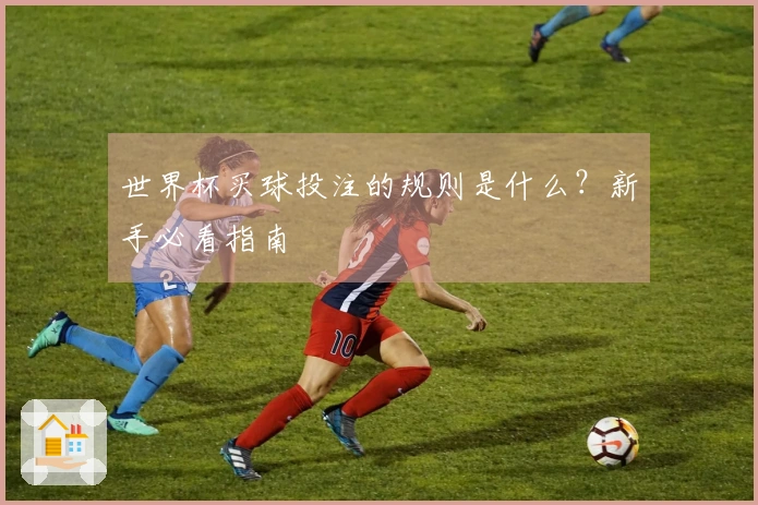 世界杯买球投注的规则是什么？新手必看指南