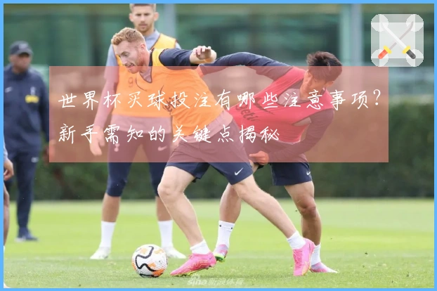 世界杯买球投注有哪些注意事项？新手需知的关键点揭秘