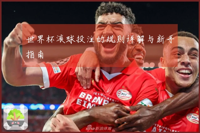 世界杯滚球投注的规则详解与新手指南