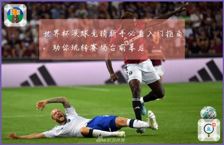 世界杯滚球竞猜新手必看入门指南，助你玩转赛场台前幕后