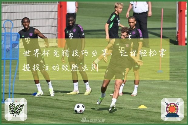 世界杯竞猜技巧分享，让你轻松掌握投注的致胜法则