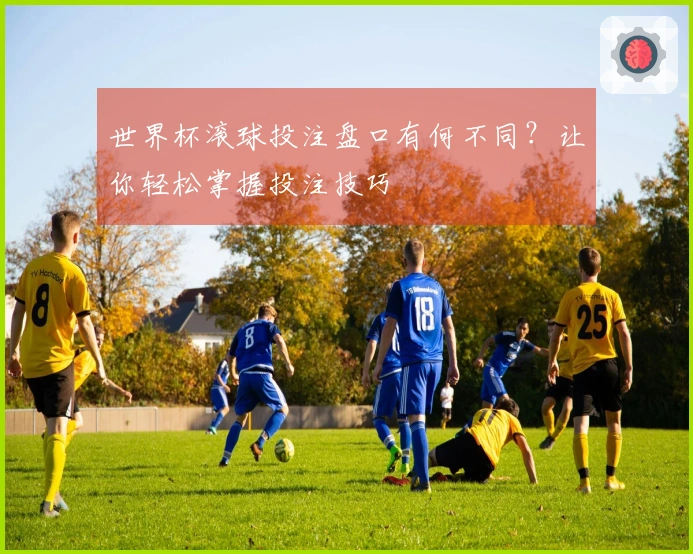 世界杯滚球投注盘口有何不同？让你轻松掌握投注技巧