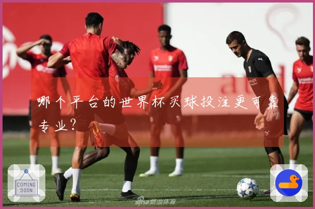 哪个平台的世界杯买球投注更可靠专业？