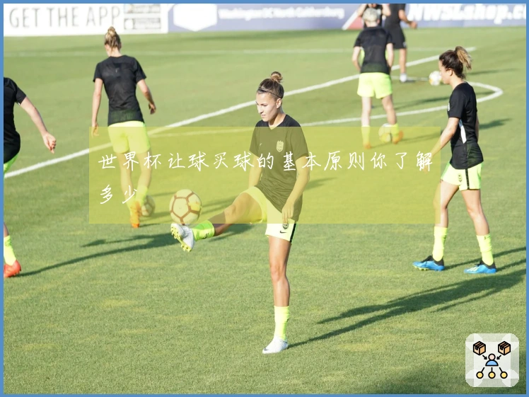 世界杯让球买球的基本原则你了解多少