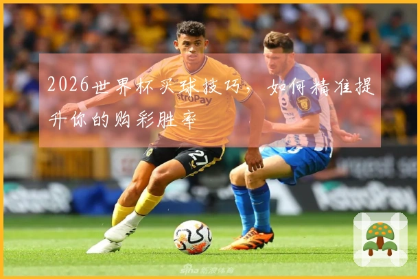 2026世界杯买球技巧，如何精准提升你的购彩胜率