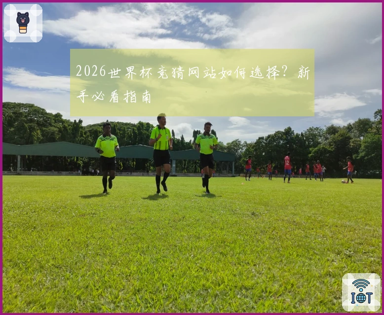 2026世界杯竞猜网站如何选择？新手必看指南