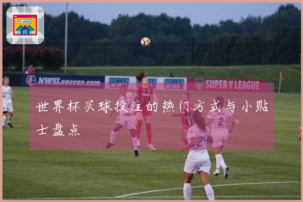 世界杯买球投注的热门方式与小贴士盘点
