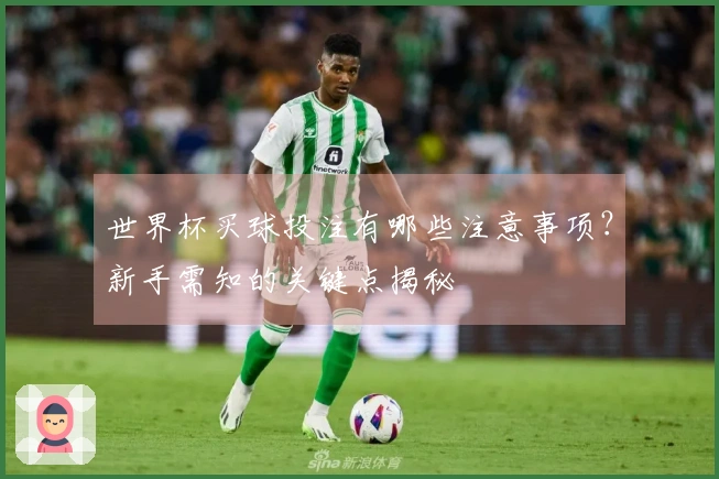 世界杯买球投注有哪些注意事项？新手需知的关键点揭秘