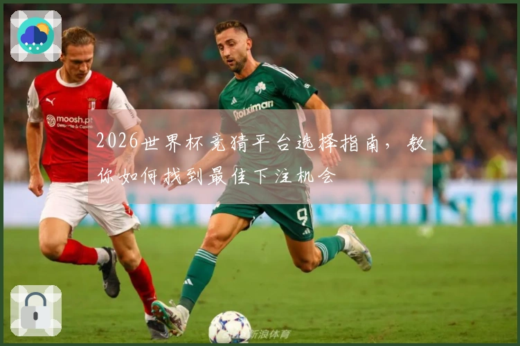 2026世界杯竞猜平台选择指南，教你如何找到最佳下注机会