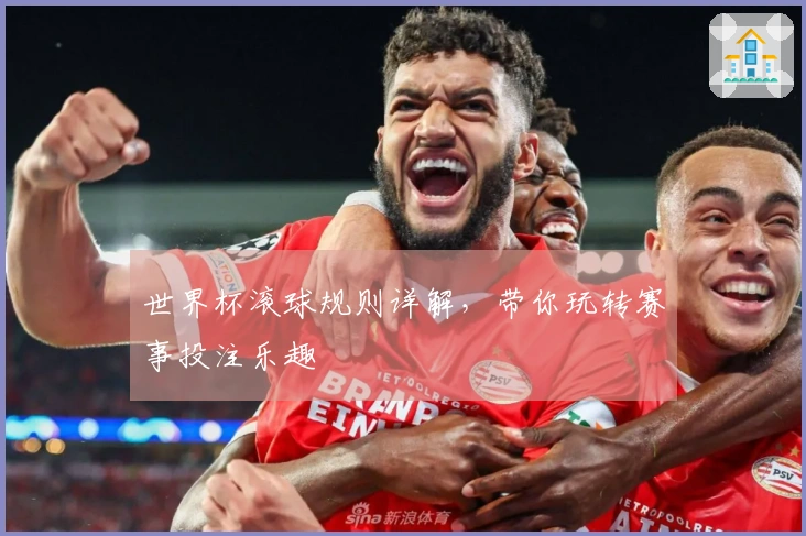 世界杯滚球规则详解，带你玩转赛事投注乐趣