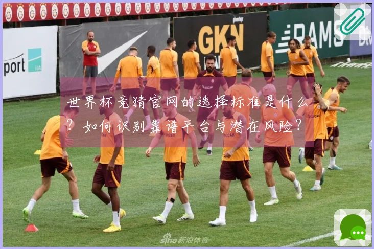 世界杯竞猜官网的选择标准是什么？如何识别靠谱平台与潜在风险？