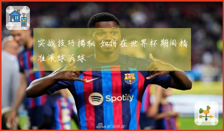 实战技巧揭秘 如何在世界杯期间精准滚球买球