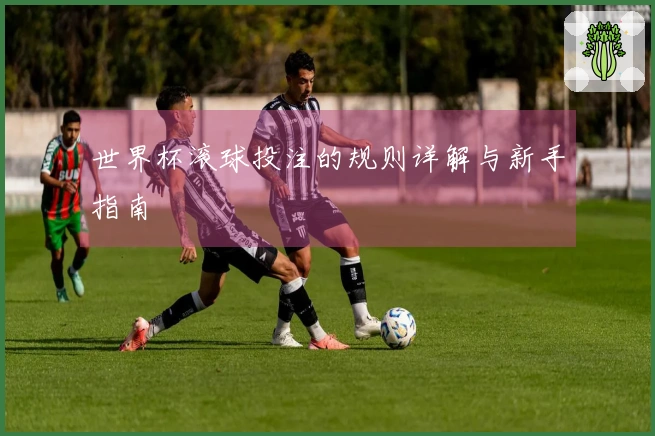 世界杯滚球投注的规则详解与新手指南